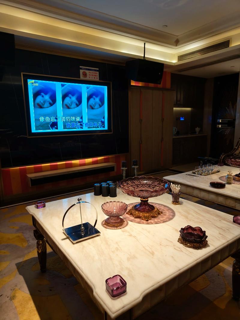 哈尔滨商务ktv，单人尽享私密空间-巴彦县ktv预定